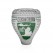 2024 Michigan State Spartans Hockey Big Ten Championship Ring/Pendant (Premium)